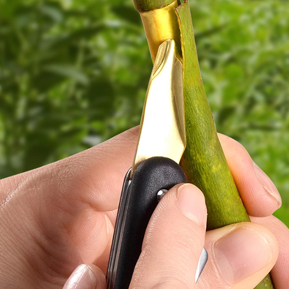 Fruit And Vegetable Grafting M - огляд і ціна Fruit Slot Machine